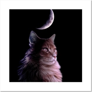 Moon Cat Posters and Art